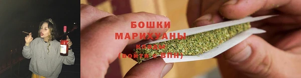дживик Аркадак