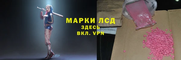 дживик Аркадак