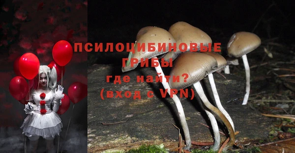 дживик Аркадак