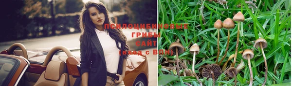 мяу мяу мука Армянск